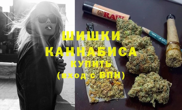 прущий лед Алзамай