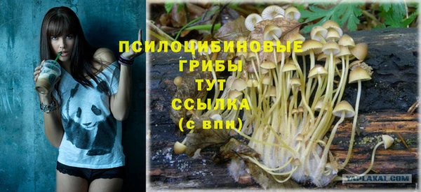 соль ск Абаза